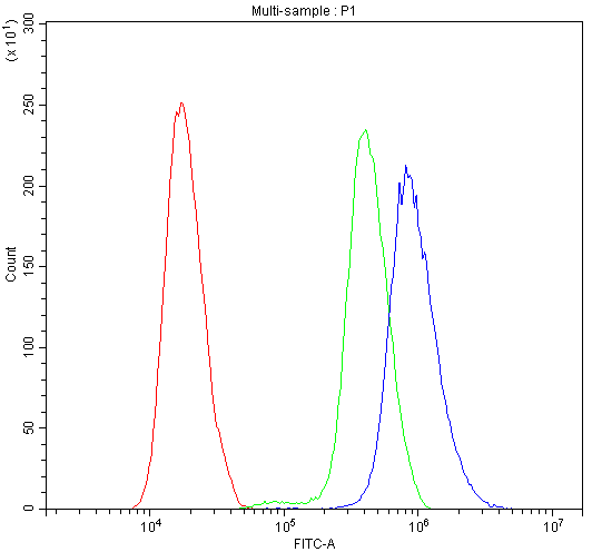 CALB1 / Calbindin Antibody (aa2-175)