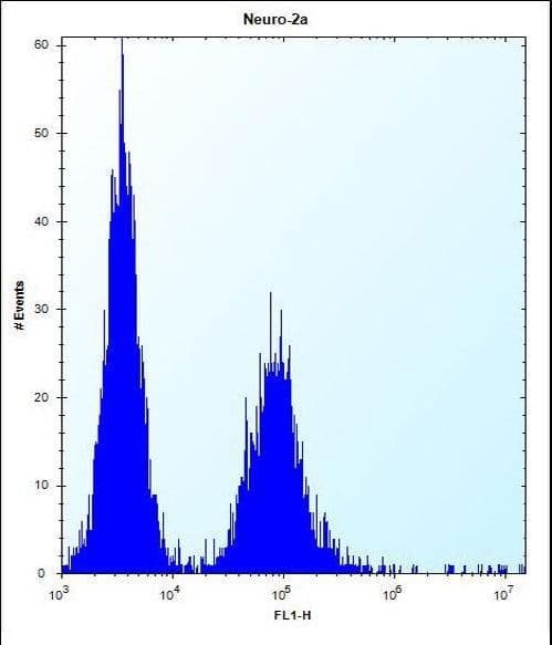 Polyclonal Rabbit anti-Human ZC3H8 Antibody (aa52-81, WB)