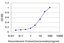 UGP2 Antibody (clone 3H3)