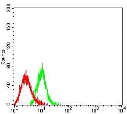 LAMP3 / CD208 Antibody (aa218-381, clone 7E12C5)
