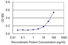 DAXX Antibody (clone 4C2)