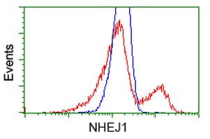 NHEJ1 / XLF Antibody (clone OTI3E6)
