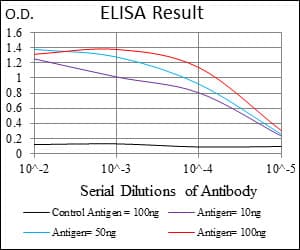 CD135 / FLT3 Antibody (aa930-991, clone 7B7C3)