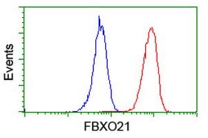 FBXO21 Antibody (clone OTI2C7)