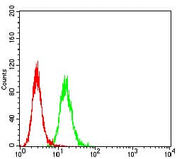 HAVCR1 / KIM-1 Antibody (clone 3A12E10)