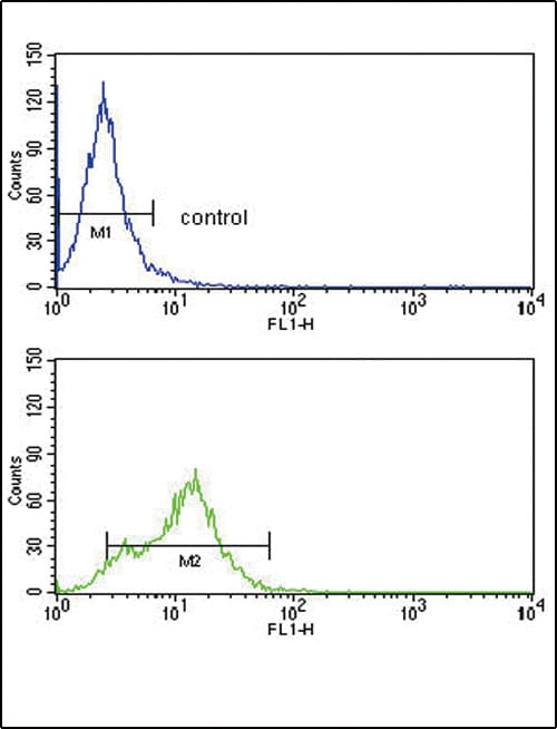 ACVRL1 Antibody (aa474-503)