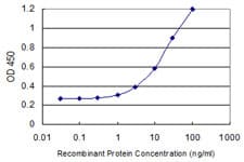 DMC1 Antibody (clone 4A10)