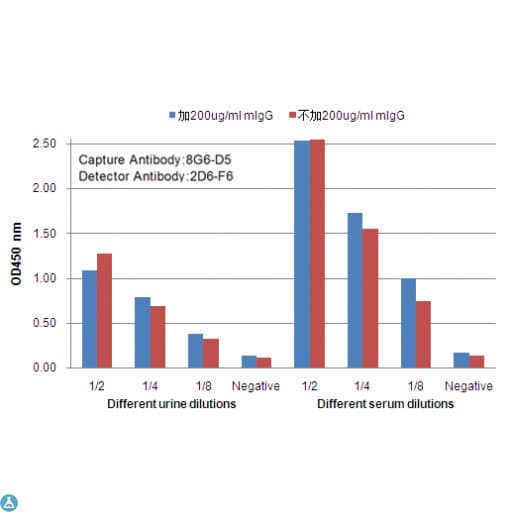 FABP1 / L-FABP Antibody