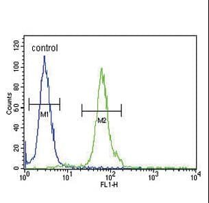 DFFB Antibody (aa1-30)