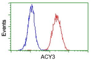 ACY3 Antibody (clone OTI2G4, Carrier-free)