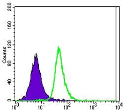 SLC22A1 Antibody (clone 2C5)