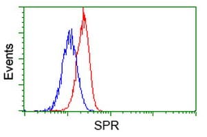 SPR Antibody (clone OTI1F4)