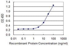 Monoclonal Mouse anti-Human AK2 / Adenylate Kinase 2 Antibody (clone 3F1)