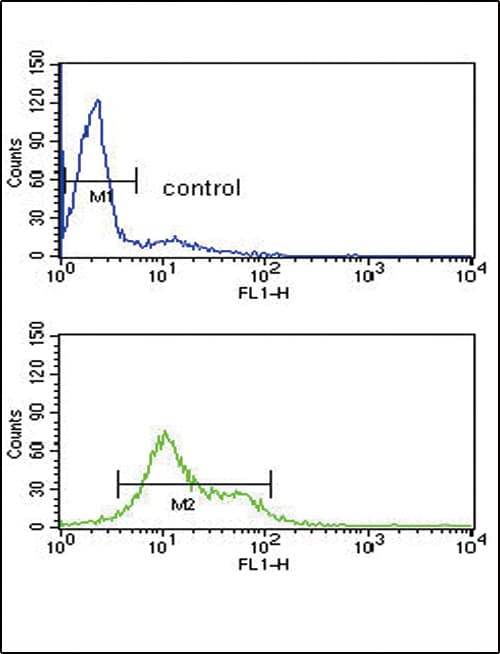MDH1 Antibody (aa286-314)