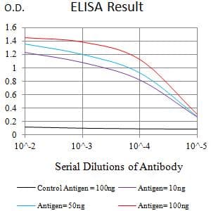LAMP3 / CD208 Antibody (aa218-381, clone 7E12C5)