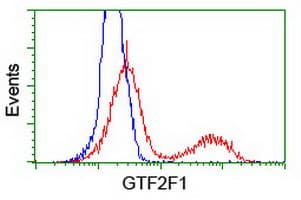 RAP74 / GTF2F1 Antibody (clone OTI2H3)