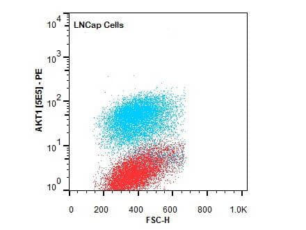 AKT1 Antibody (Internal, clone 5E5.F5.D7, RPE)