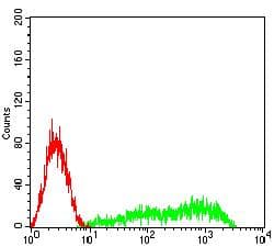 CLEC12A / CD371 Antibody (clone 4D5A8)