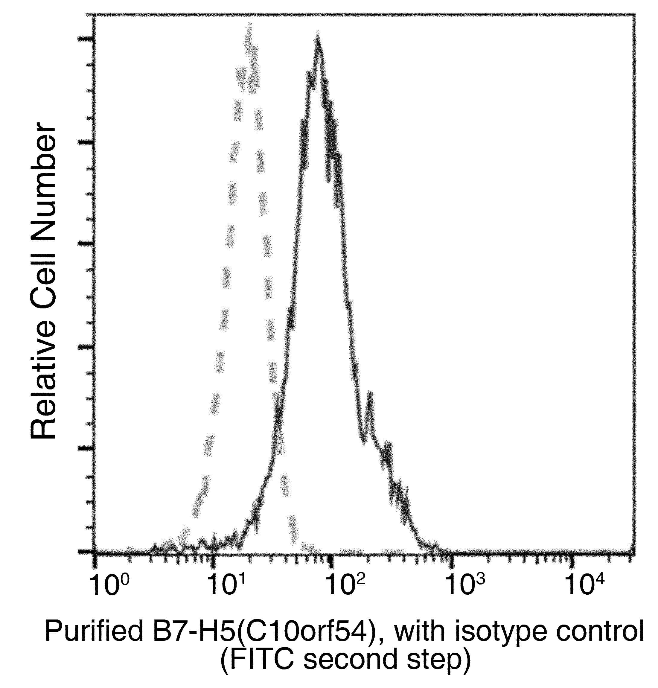 VSIR / GI24 / VISTA Antibody (clone 017, Preservative Free)