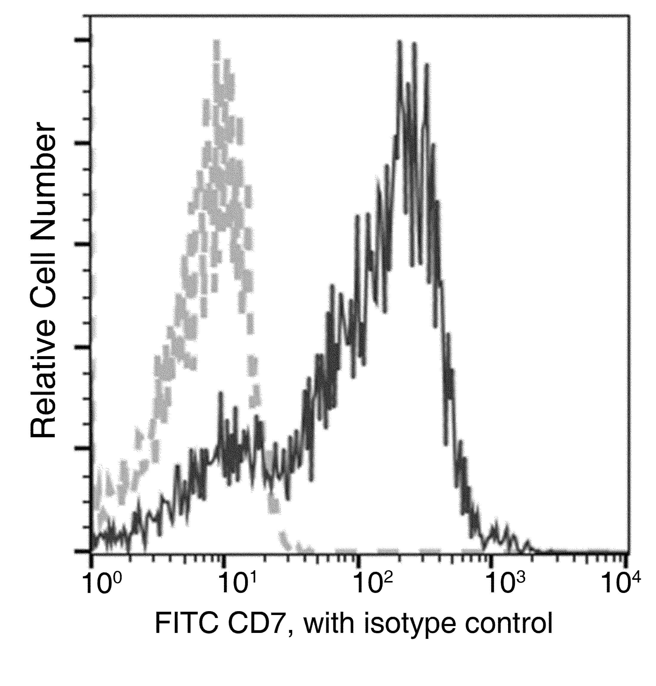 CD7 Antibody (clone 20, FITC)
