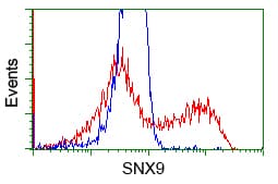 Monoclonal Mouse anti-Human SNX9 / WISP Antibody (clone OTI2B5, IHC, IF, WB)