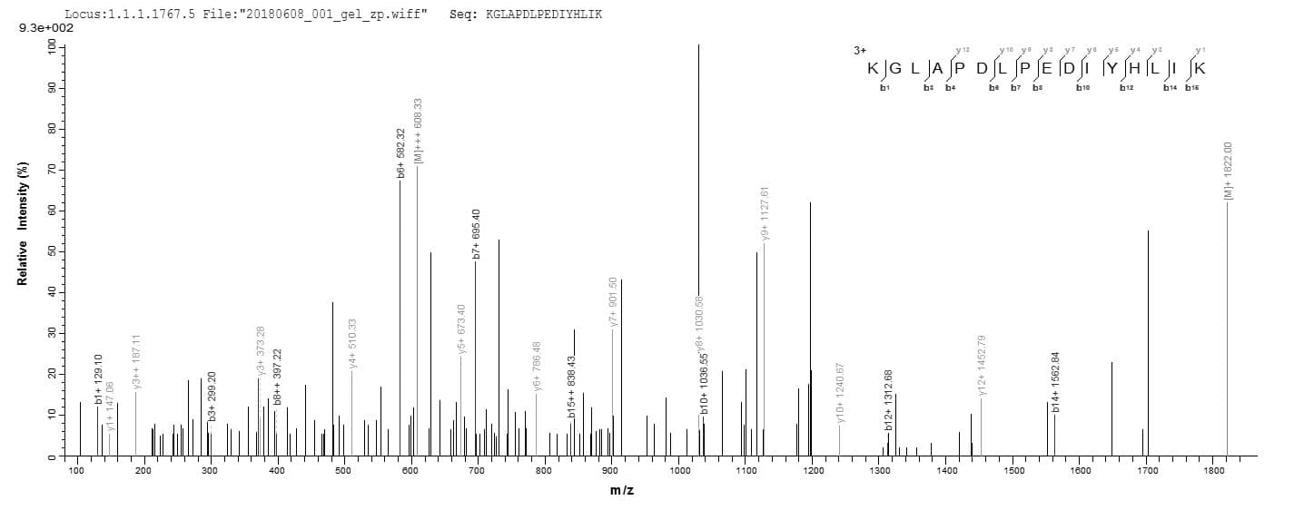 Ciona intestinalis RPS13 / Ribosomal Protein S13 (Recombinant 6His, N-terminus)