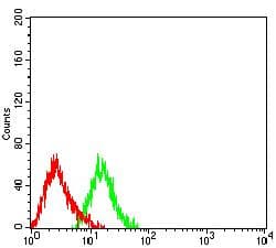 PLXNC1 / Plexin C1 Antibody (clone 3C10B2)