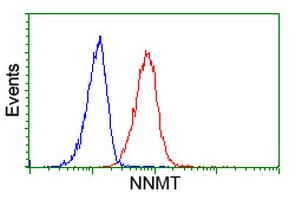 IHC-plus™ NNMT Antibody (clone 3E3)