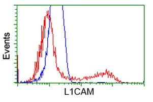 Monoclonal Mouse anti-Human L1CAM Antibody (clone OTI10C12, IHC, WB)