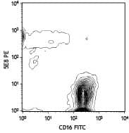 Monoclonal Mouse anti-Human CCR3 Antibody (clone 5E8)