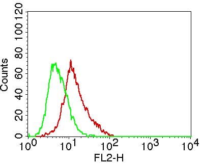 Monoclonal Rat anti-Human SYNCAM / CADM1 Antibody