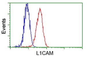 Monoclonal Mouse anti-Human L1CAM Antibody (clone OTI2C7, IHC, IF, WB)