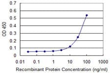 Monoclonal Mouse anti-Human YES1 / c-Yes Antibody (clone 2D5, WB)