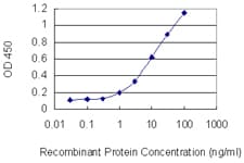 PSMD4 / RPN10 Antibody (clone 3C9)