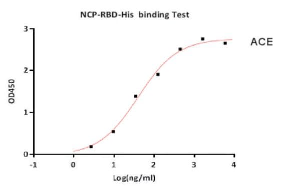 Coronavirus SARS-CoV-2 SARS-CoV-2 Spike Glycoprotein (Recombinant His)