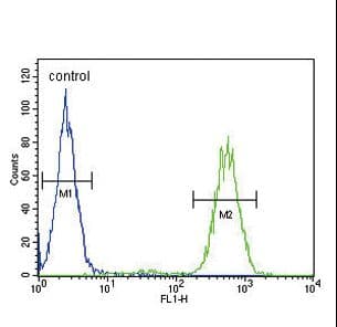 IHC-plus™ SLC25A37 / Mitoferrin Antibody (aa309-338)