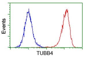 TUBB4 / Tubulin Beta 4 Antibody (clone 3C12, Carrier-free)
