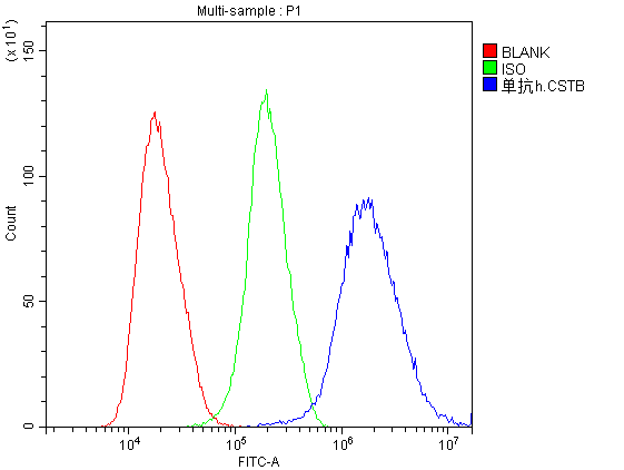 CSTB / Cystatin B / Stefin B Antibody