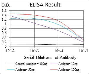 Monoclonal Mouse anti-Human RING1 Antibody (clone 8C12F4, aa79-263, IHC, WB)