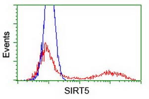 SIRT5 / Sirtuin 5 Antibody (clone OTI2E10)