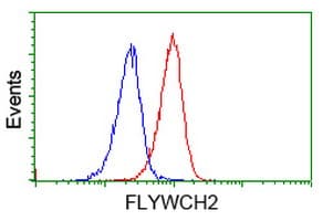 FLYWCH2 Antibody (clone OTI2F5)