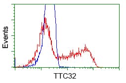 TTC32 Antibody (clone OTI2B9)