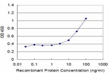 HR6B / UBE2B Antibody (clone 4C3)