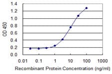 DPYSL3 / CRMP4 Antibody (clone 1B8)