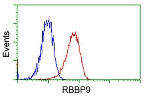 RBBP9 Antibody (clone OTI4G3)