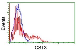 CST3 / Cystatin C Antibody (clone OTI7B8)