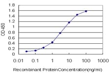HPMS1 / PMS1 Antibody (clone 2G10)