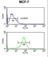 DIO2 Antibody (aa165-191)