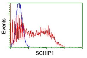SCHIP1 Antibody (clone OTI1G6, Carrier-free)