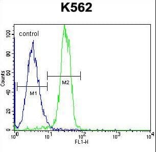 Polyclonal Rabbit anti-Human STARD6 Antibody (aa187-215, WB)